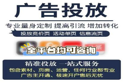 SEM推广代运营案例深度剖析